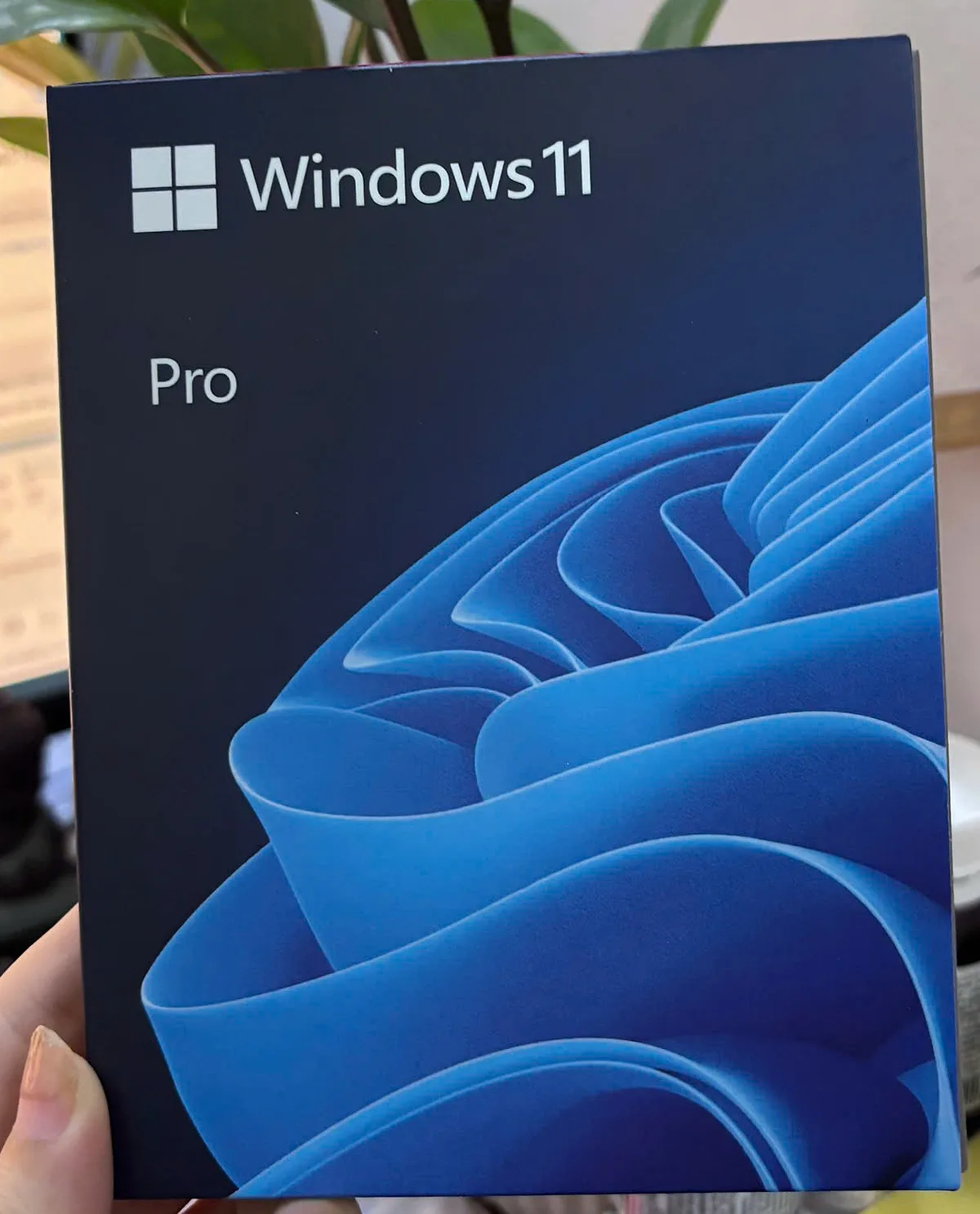 Hộp Windows 11 Pro bản FPP chính hãng nguyên seal tại kho Antamkey
